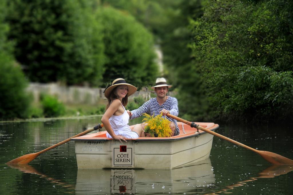 Cote-Serein - Domaine De Venoise Noyers-sur-Serein Exteriör bild